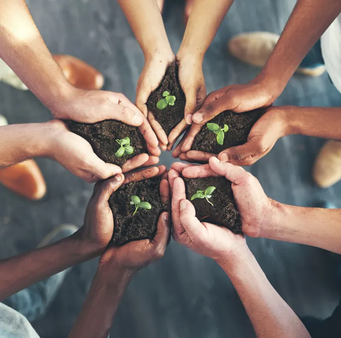 Five pairs of hands a seedling in their palms Five pairs of hands carry soil and a seedling in their palms. They hold their hands together in a circle.